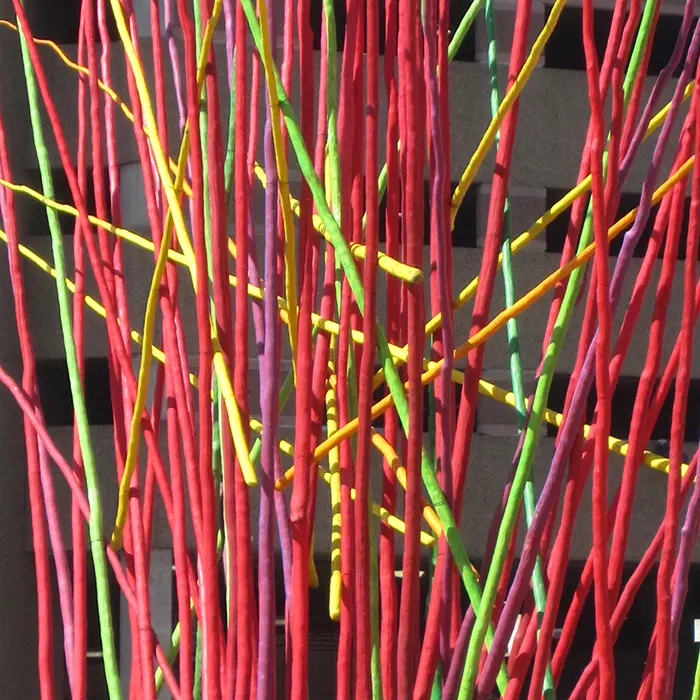 A close up of some red and green sticks